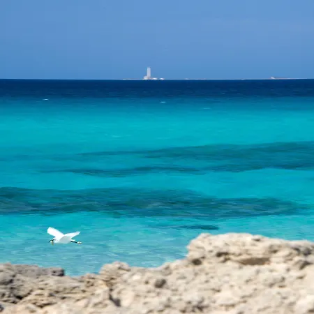 Joli Park - Caroli 3*