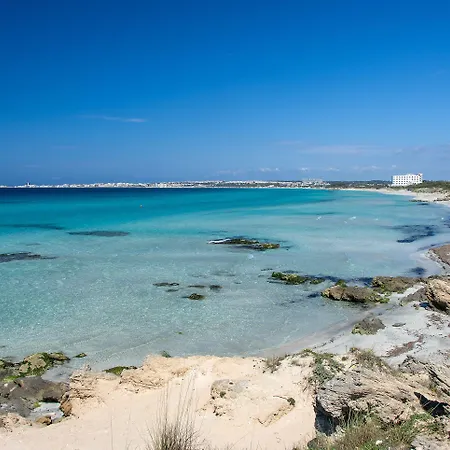 Hotel Joli Park - Caroli