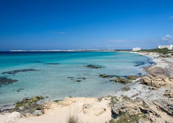 Hotel Joli Park - Caroli