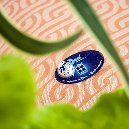 Joli Park - Caroli Hotell